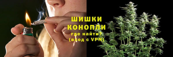 молекула духа Аркадак