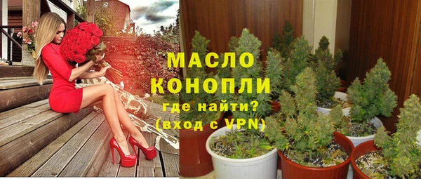 стаф Арсеньев