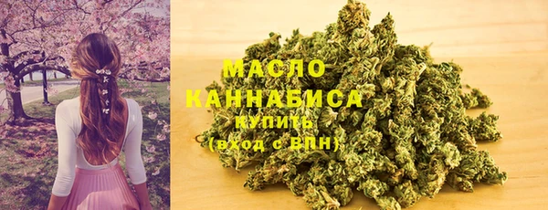 стаф Арсеньев
